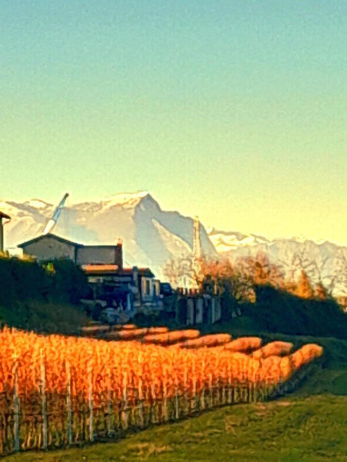 Zanina Country House Peschiera del Garda Exterior foto